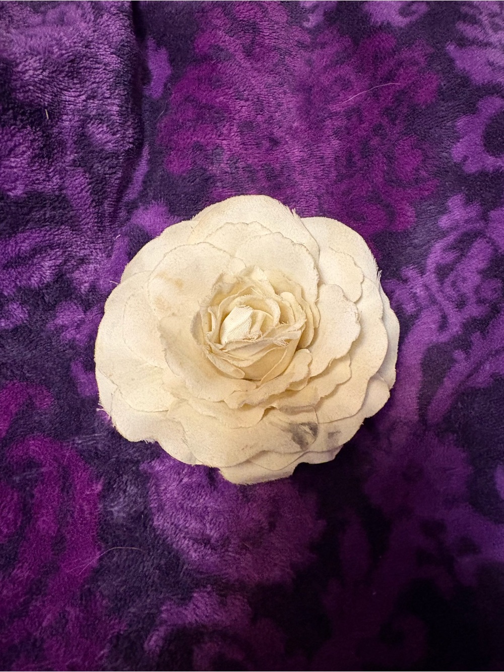 Cream Fabric Rose Hair Clip for Women